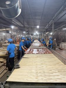 vietnam_commercial_plywood_manufacturer_and_exporter_to_korea_KS_STANDARDS