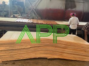 Vietnam_Furniture_Plywood_Export_to_Thailand